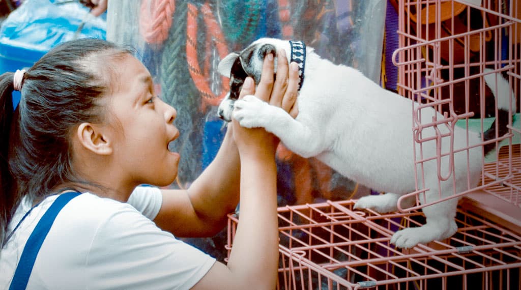girl playing with her dog