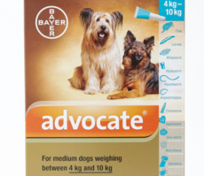 Advocate dogs