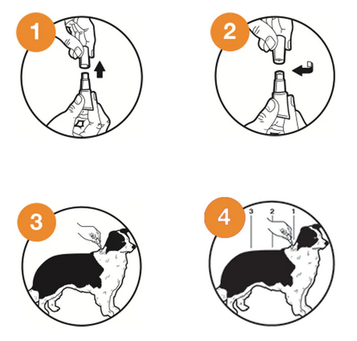 applying Advocate spot-on solution to a dog's back