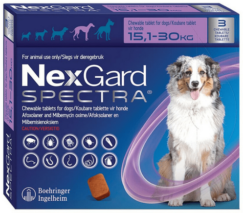 NexGard Spectra for Large Dogs 3 pack
