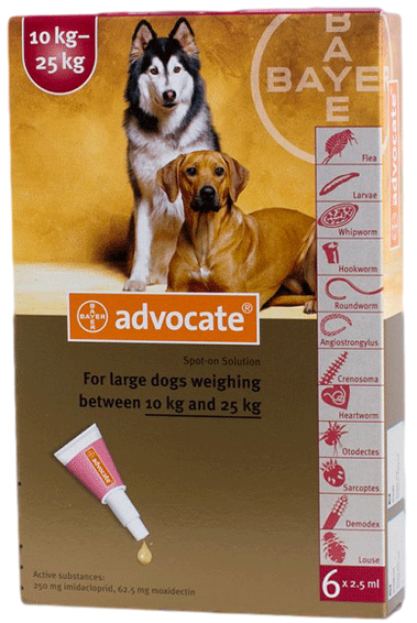 Advocate for dogs spot-on solution