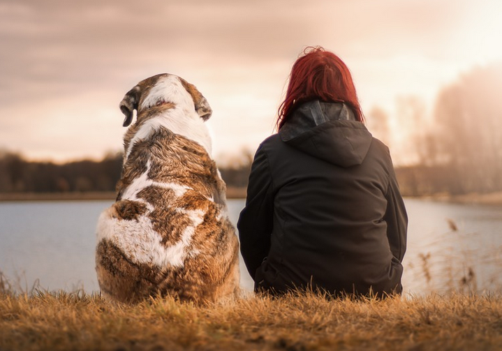 retriever dog and owner at lake